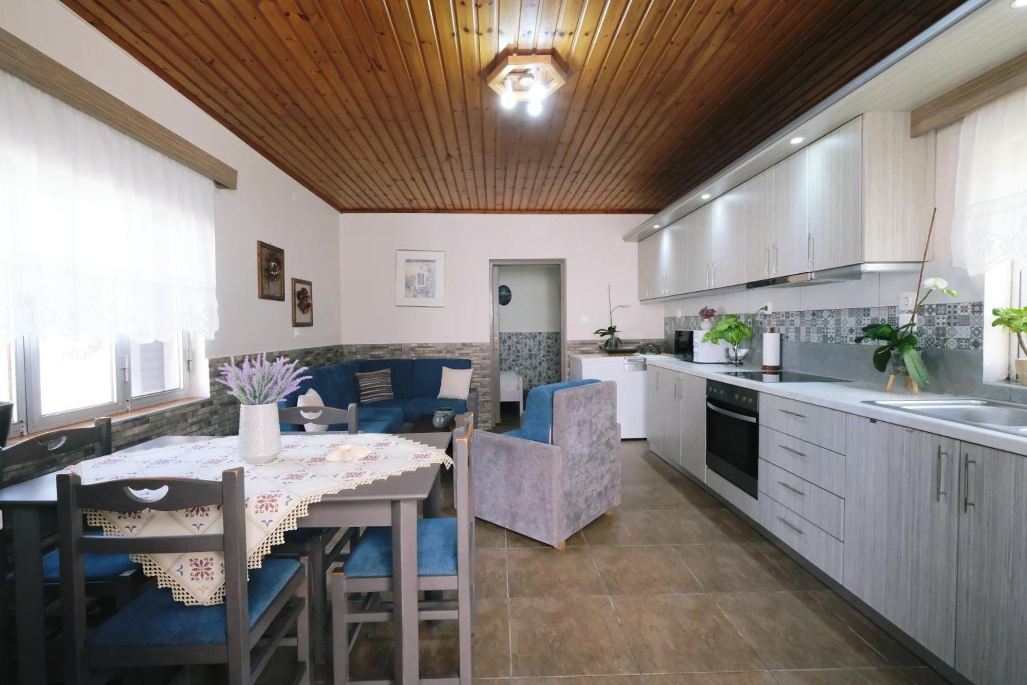 Repanidi Apartment D / Ρεπανίδι Διαμέρισμα Δ Repanidhion Extérieur photo