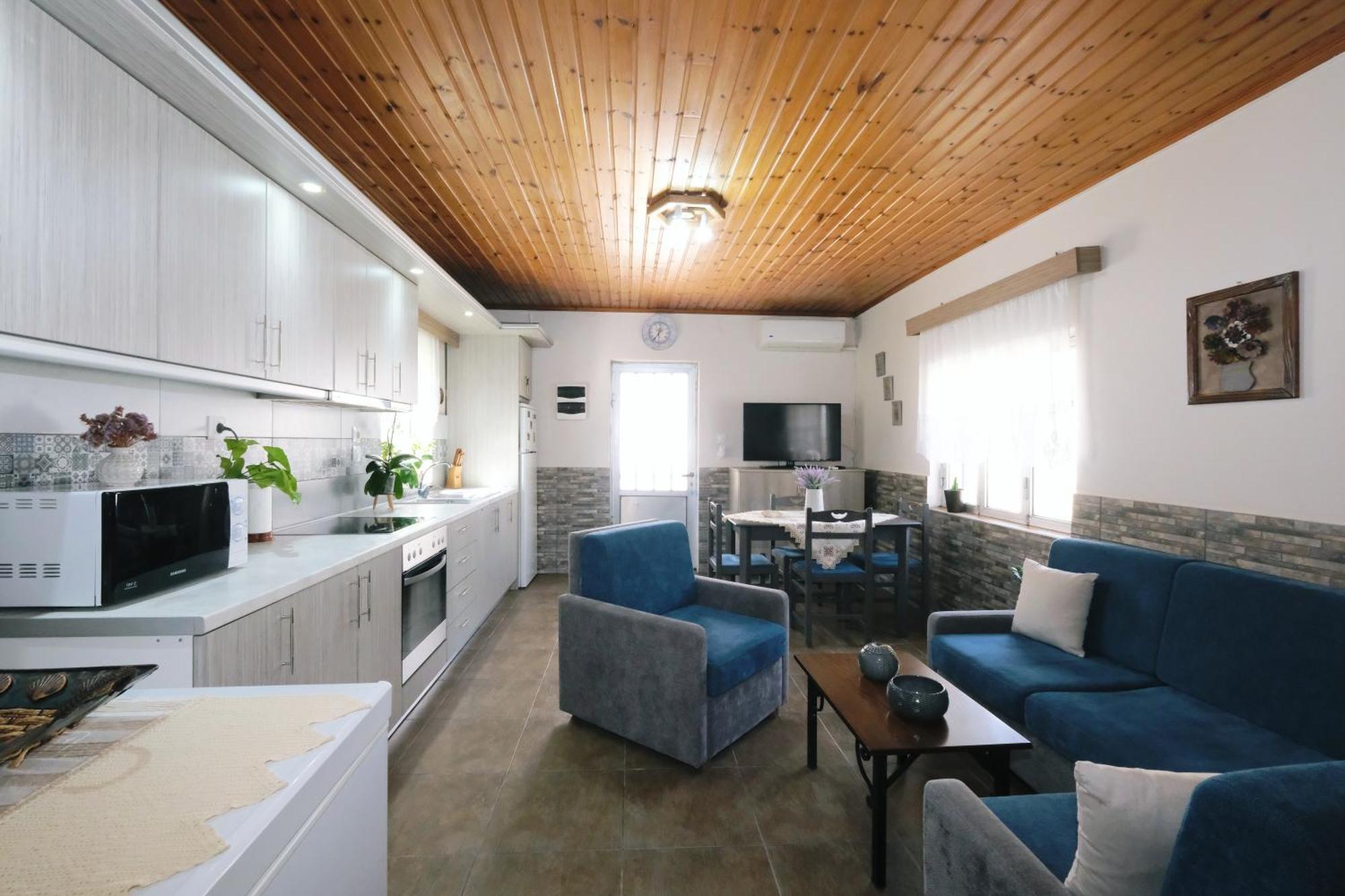 Repanidi Apartment D / Ρεπανίδι Διαμέρισμα Δ Repanidhion Extérieur photo