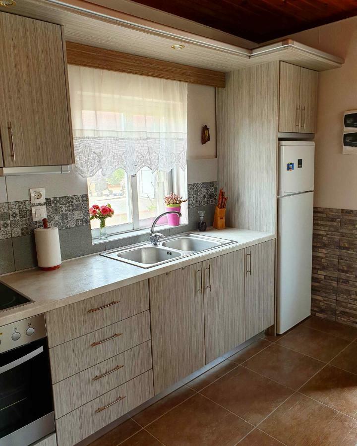 Repanidi Apartment D / Ρεπανίδι Διαμέρισμα Δ Repanidhion Extérieur photo