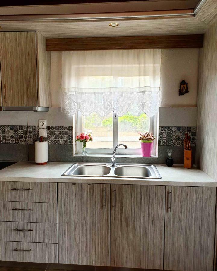 Repanidi Apartment D / Ρεπανίδι Διαμέρισμα Δ Repanidhion Extérieur photo