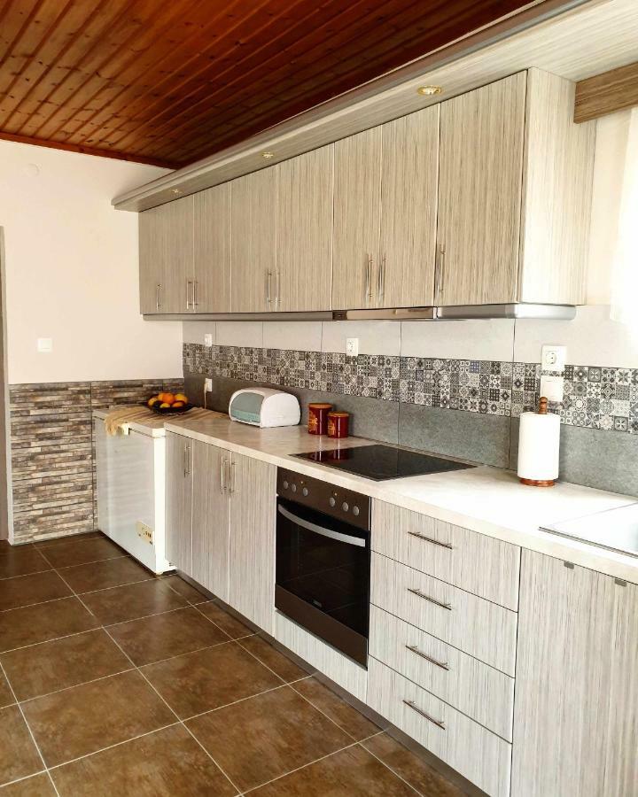 Repanidi Apartment D / Ρεπανίδι Διαμέρισμα Δ Repanidhion Extérieur photo