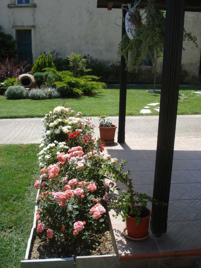 Repanidi Apartment D / Ρεπανίδι Διαμέρισμα Δ Repanidhion Extérieur photo