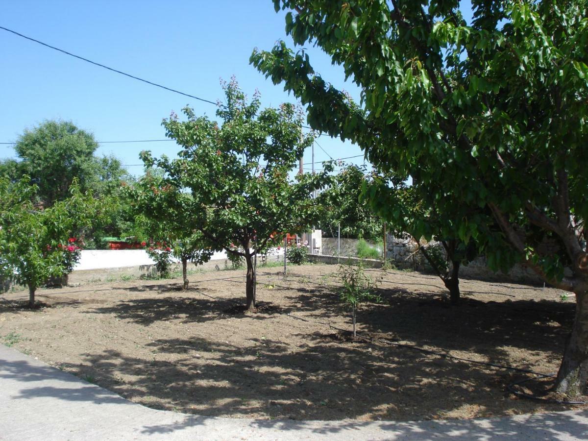 Repanidi Apartment D / Ρεπανίδι Διαμέρισμα Δ Repanidhion Extérieur photo